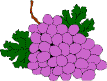 GRAPES.GIF (8570 bytes)