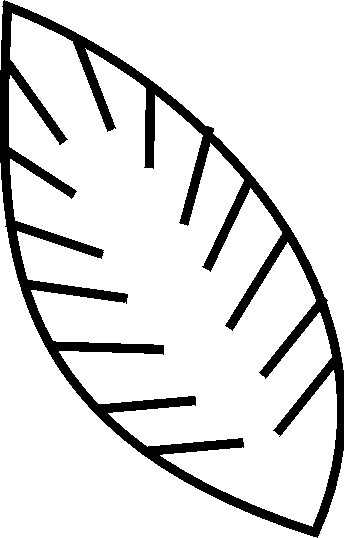 palm branches coloring pages - photo #33