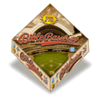 902919: Bible Baseball