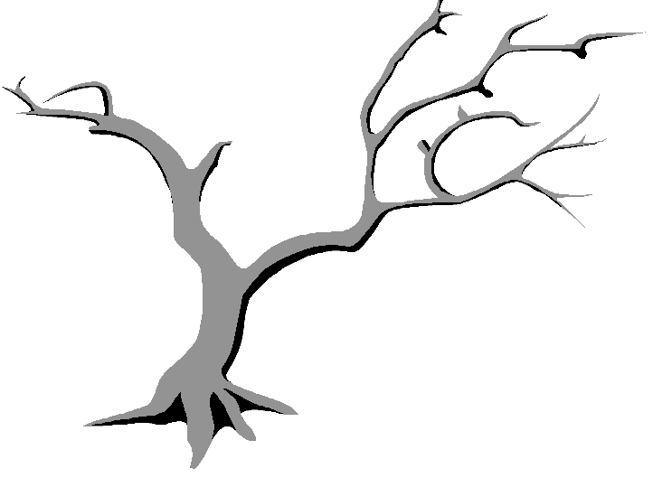 image of a tree without fruit