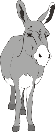 color graphic image of donkey