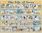 Life of Jesus--Laminated Wall Chart   - 